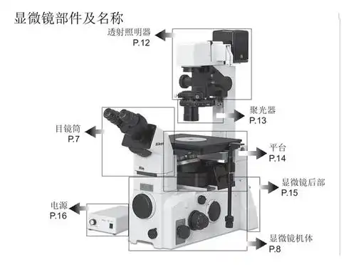 倒置荧光显微镜ppt课件ppt