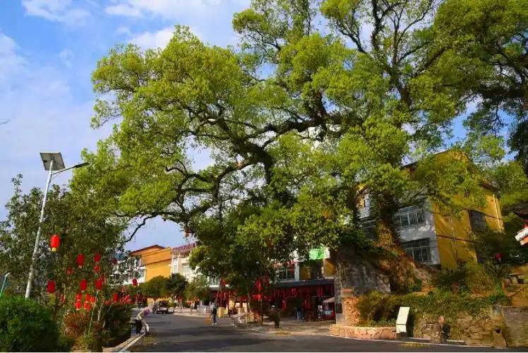 精品推介福建省美丽休闲乡村三明市沙县区夏茂镇俞邦村
