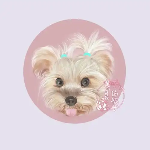 可可爱爱约克夏头像壁纸