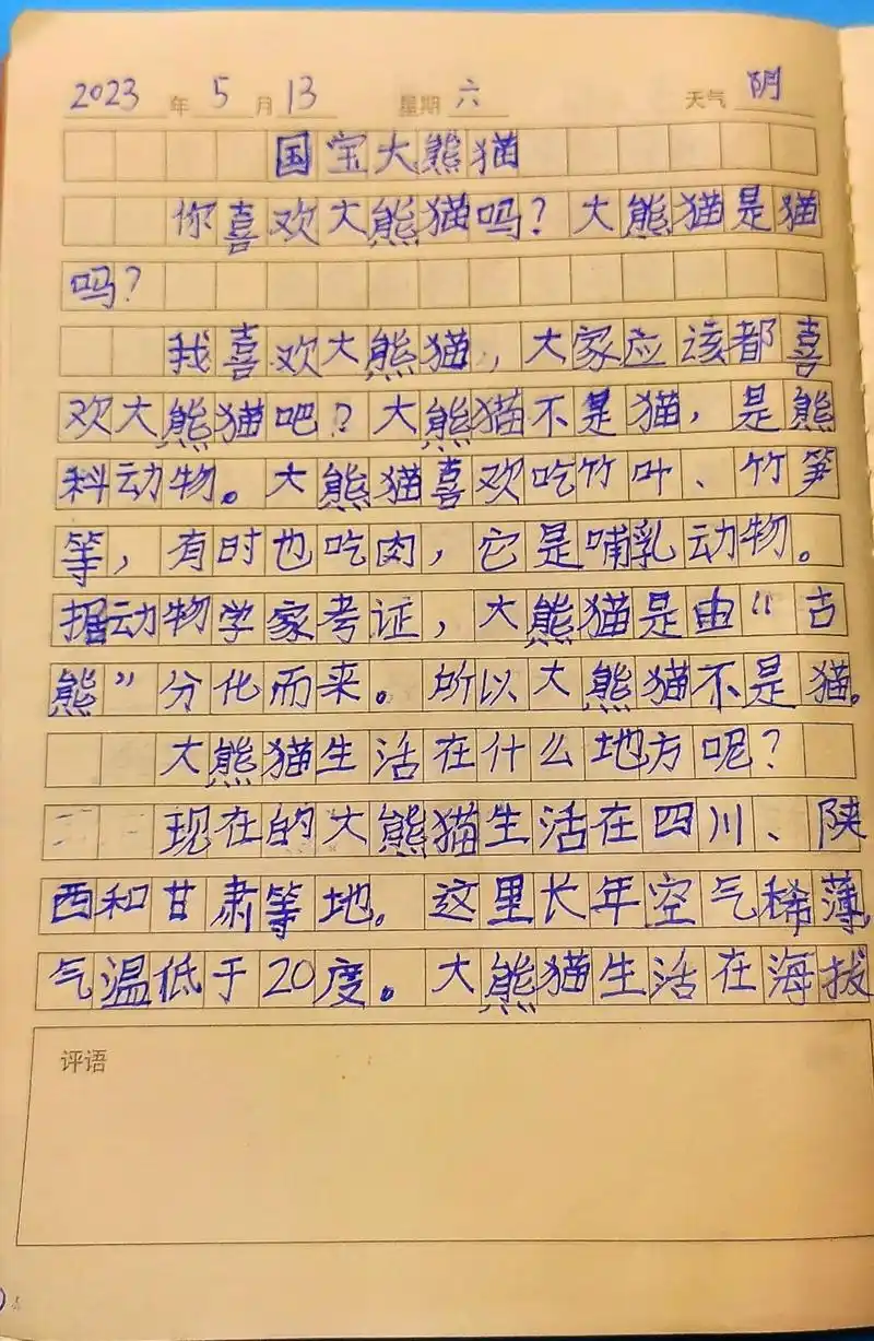 三年级第七单元作文《国宝大熊猫》写作.