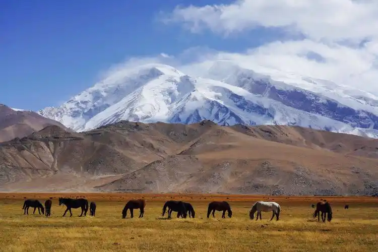 新疆之旅(四)-昆仑山区的一朵莲花帕米尔高原