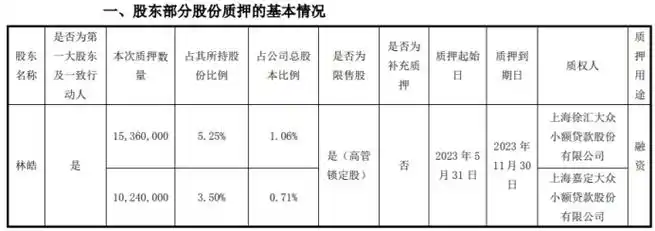 北信源控股股东林皓质押2560万股 用于融资