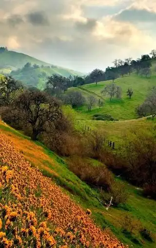 经典好看的华为手机壁纸