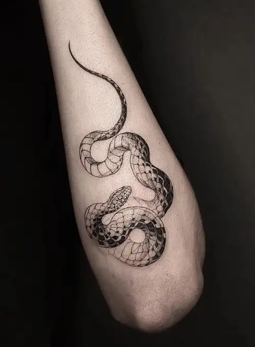 属蛇的纹身纹什么比较好_95年属猪的纹身纹哪好_属蛇的纹身纹什么好