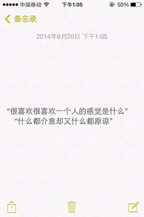 文字控 很喜欢很喜欢一个人感觉是什么,什么都介意却又什么都原谅