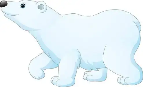 在动物园北极熊图片-在动物园北极熊素材-在动物园北极熊插画-摄图新