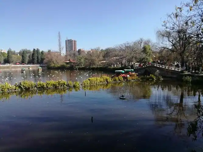 翠湖公园旅游景点攻略图