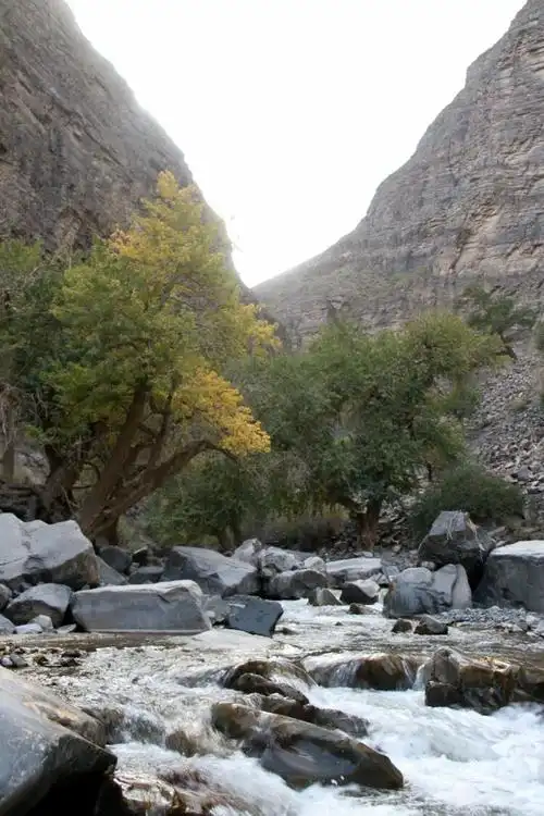 库尔楚天堂大峡谷四天三夜重装穿越(三)