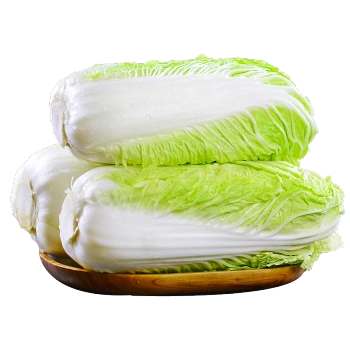 东北大白菜蔬菜菜黄心白菜鲜嫩小白菜冬季青菜现摘青菜整颗白菜3斤