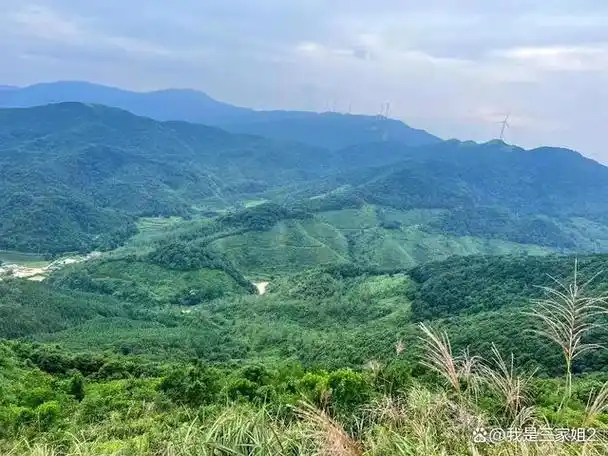 北流,这座位于广西壮族自治区东南部的县级市,虽然面积不大,但却拥有