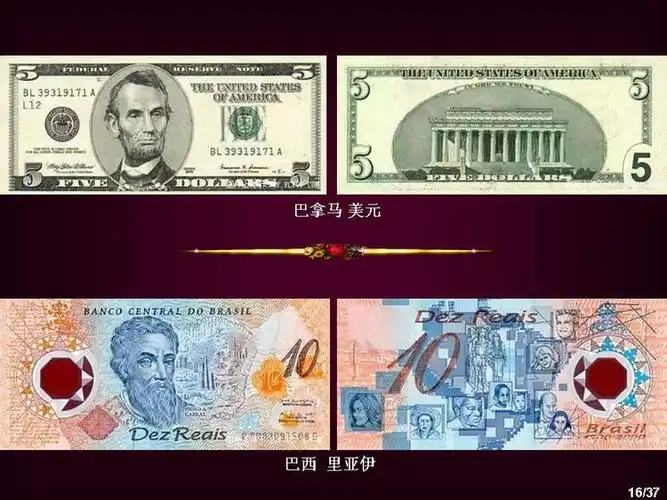 世界纸币集锦上中下