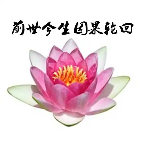 08前世今生因果轮回