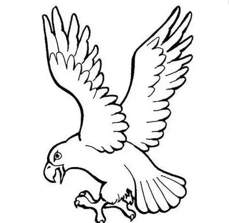 老鹰飞翔的雄鹰简笔画老鹰简单的动物简笔画捕食的雄鹰展翅高飞的雄鹰