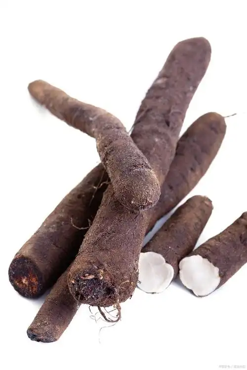 传奇的中草药之黑阳参