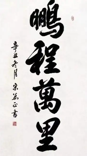 鹏程万里~大鹏一日同风气,扶摇直上九万里.#书法