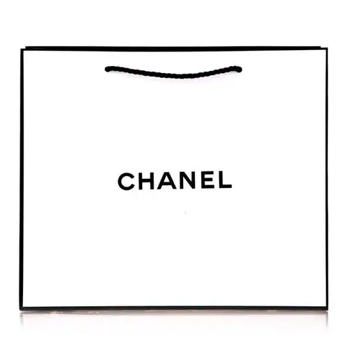 香奈儿chanel专柜礼袋手提袋大号其他