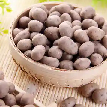 清雅(qingya) 山药豆新鲜铁棍山药豆糖葫芦山药蛋种子 小淮山药 100粒