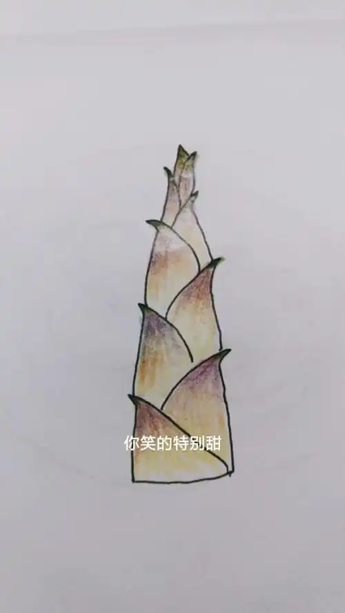 最简单的简笔画笋