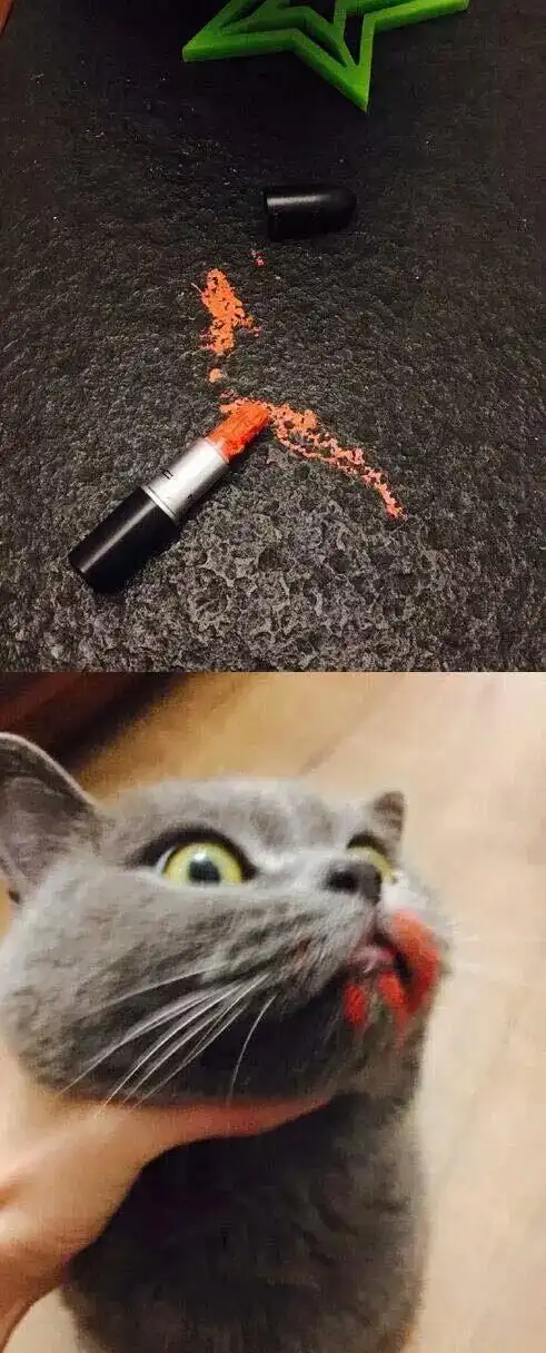 搞笑萌宠图片是口红先动手的