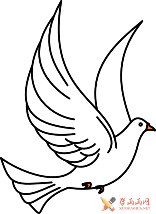 儿童画鸽子简笔画作品(1)