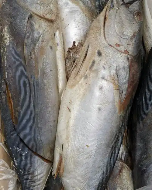 咸鲅鱼咸花鲅鱼老咸鱼梅香咸鱼鱼段糟鱼腌制鱼大咸鱼精品鱼段 原味