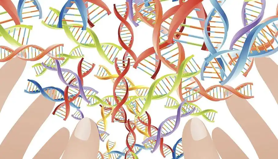 同性恋不完全由基因决定?新研究称受多种遗传因素和环境影响_行为