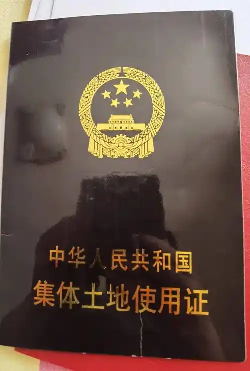 拆迁独院出售_土地_购房_西房