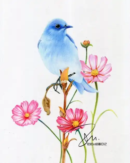 彩铅|花与鸟 这么仙儿的啾啾不画一下?