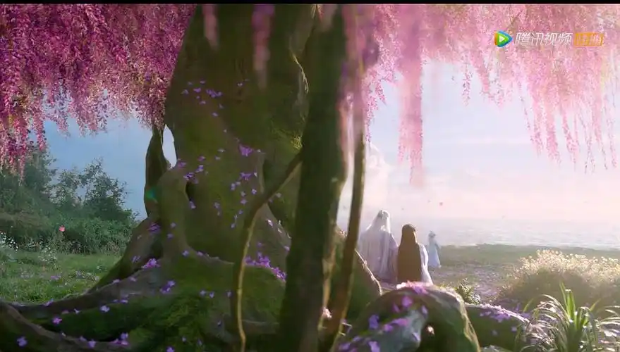 细节贴-碧海苍灵的佛铃花树 跟着帝君状态也有变化.