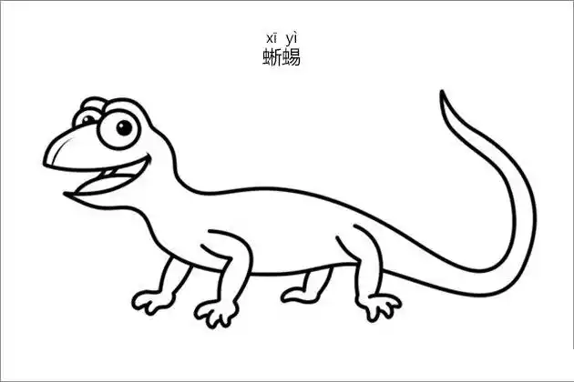 蜥蜴简笔画图片  	  	蜥蜴 (lizard),有鳞目蜥蜴亚目内爬行动物的总称