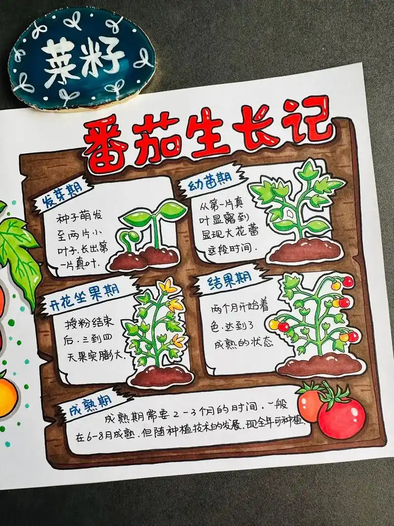 植物生长过程手抄报教程 - 抖音