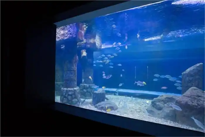 大型亚克力鱼缸定制欢迎来电 就选择极乐水族