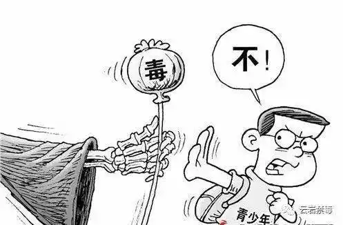 维护身心健康,了解毒品危害与成瘾原理_手机搜狐网