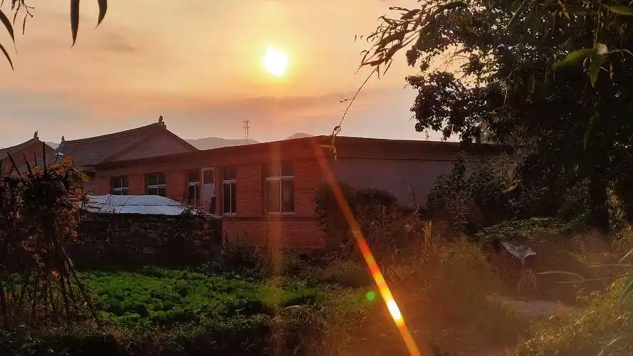 乡村的早晨好美