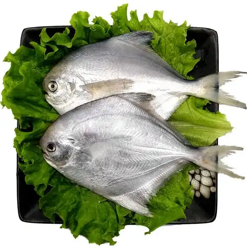 星渔海捕野生银鲳鱼舟山新鲜冷冻海鲜水产冰鲜深海银鲳鱼1斤6-7条