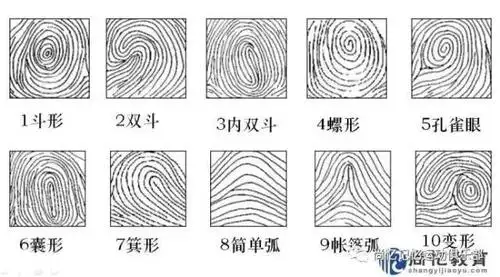 以上10种类型的指纹,就可以用相应的数字来表示,其中第10种指纹可以用