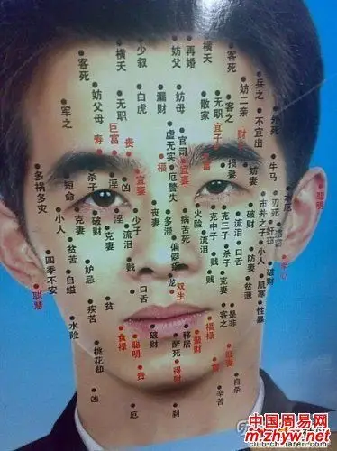 男人面相痣图解