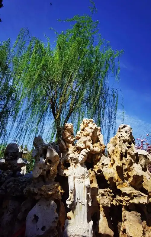 保定上谷八景之67莲漪夏艳曾是芳辰趋走地隔帘犹透御香来