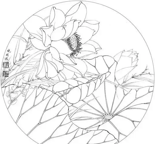 李晓明工笔花鸟白描