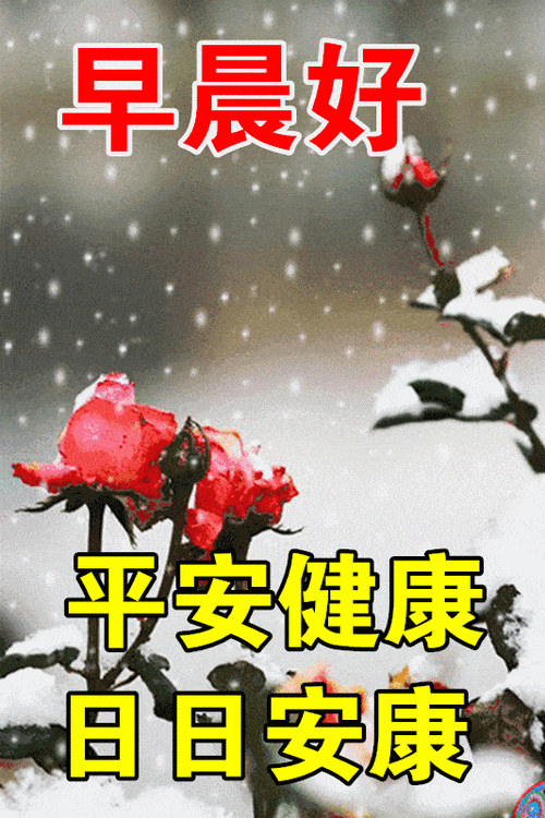 1月23日最漂亮早上好动态表情图片大全早晨好动图美图大全