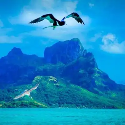 唯美山水风景头像海边真实风景图片大全