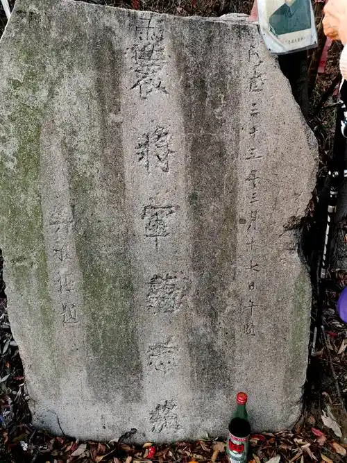 探秘岱山----戴笠坠机处