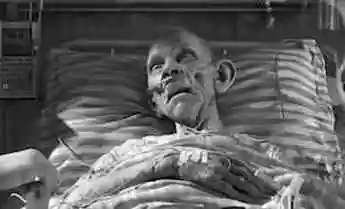 人的生老病死是自然规律,在人去世后,身体里的血液都去哪里了