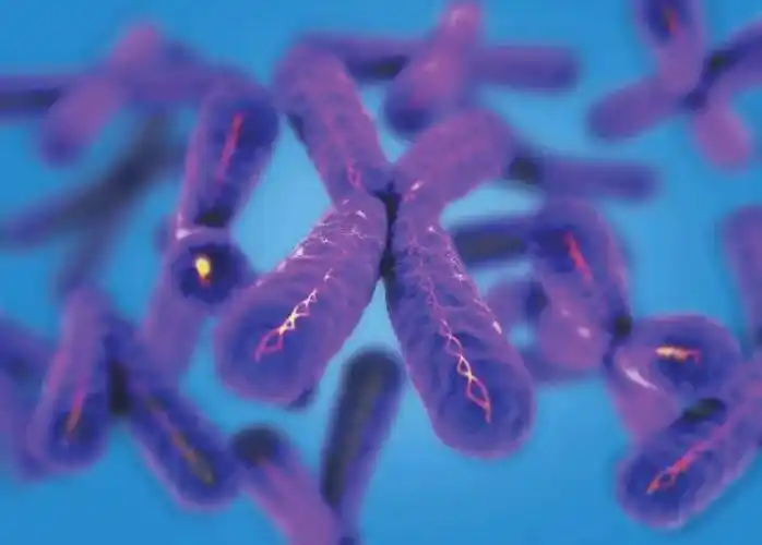 测序周报科研篇清华大学张奇伟研究组在自然通讯发表染