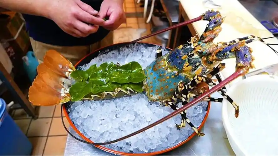 看一只价值不菲的青龙虾是怎么被富人们端上餐桌