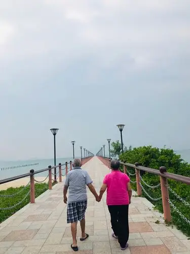 执子之手 与子偕老