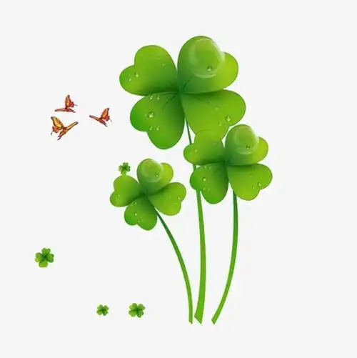 四叶草图片头像带字 - 搜狗图片搜索