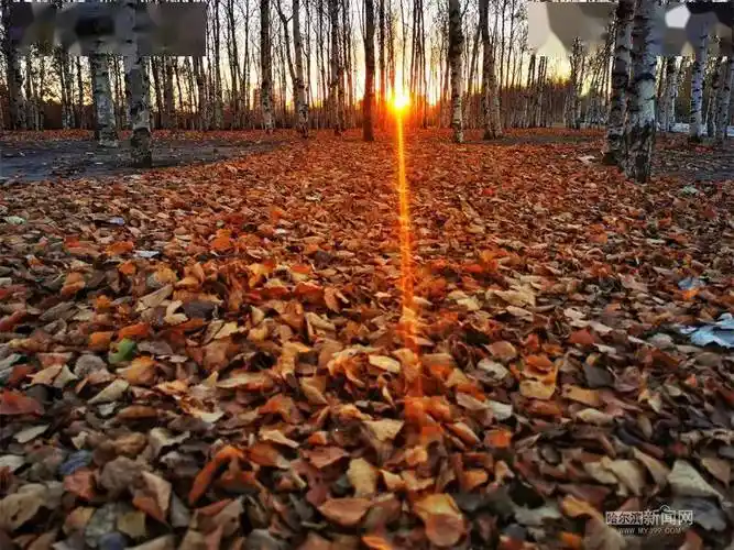 霜降后,暖洋洋|珍惜周日晴朗天#超多美图的天气预报