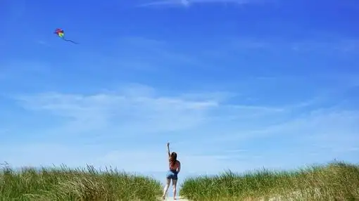 唯美文字追风筝的人