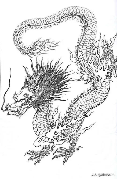 中国龙 白描画稿